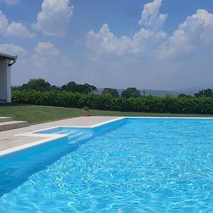 Villa Lavender With Swimming Pool Mostar Exterior photo