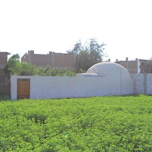 Happy House Villa Luxor Exterior photo