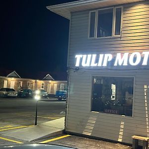 Tulip Motel Woodstock Exterior photo