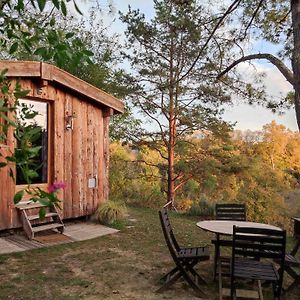 La cabane en bois Villemur-sur-Tarn Exterior photo