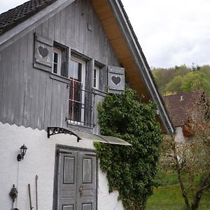 Wallys Huesli Im Schwarzwald Villa Ühlingen-Birkendorf Exterior photo