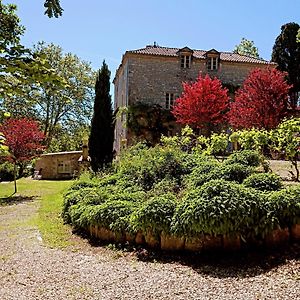 La Maison Forte Bed and Breakfast Montaut  Exterior photo