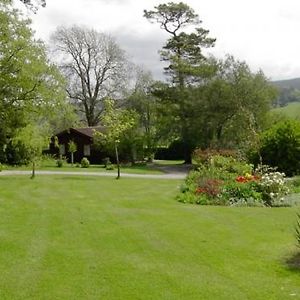 Pine Tree Lodge Minehead Exterior photo