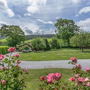 Laburnum Lodge Sleeps 6 Wheelchair Access Minehead Exterior photo