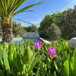 Pigeonnier Des Banons Bed and Breakfast Puimoisson Exterior photo