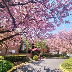 Apartamento Modern 1Br Retreat In Elkins Park - Long Term Willow Grove Exterior photo