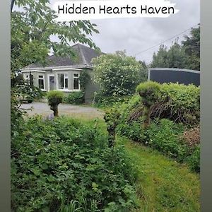 Hidden Hearts Apartment & Woodfired Hottub Spa Roscrea Exterior photo