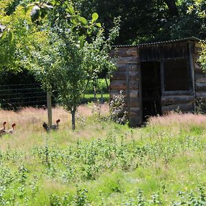 Ecogite Rural La Cle Des Champs Villa Peyrelongue-Abos Room photo