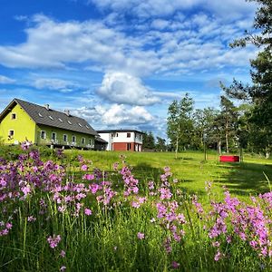 Apartamento Penzion Kozí zámek Horažďovice Exterior photo