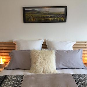 Les mésanges de l'Ill Bed and Breakfast Andolsheim Room photo