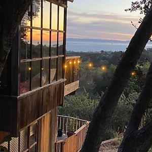 Cabin On The American Riviera Villa Carpinteria Exterior photo