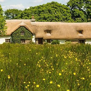 Hay Meadow Farm, Cosy Thatched Holiday Cottage Beaworthy Exterior photo
