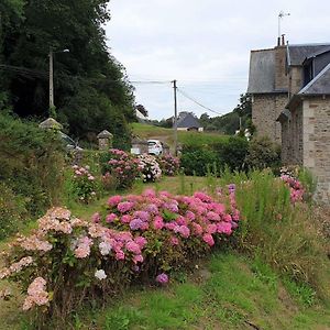 Maison Renovee Pierre, Jardin, Wifi, 400M Mer, St Quay-Perros - Fr-1-368-258 Villa Saint-Quay-Perros Exterior photo