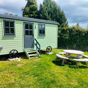 Apartamento Shepherd'S Hut In Nature Newtown Mount Kennedy Exterior photo