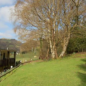 No 6 At Dolgoch Falls Cottages Bryn-crug Exterior photo