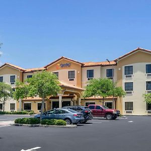 Comfort Inn & Suites Northeast - Gateway San Petersburgo Exterior photo