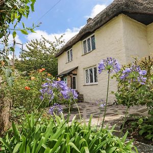 Hearthstone East Cottage Brixham Exterior photo