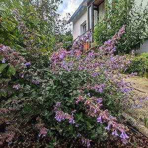 Apartamento Fewo Am Lewerberg Liebenburg Exterior photo