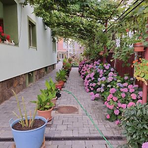 Rodica Apartment Sibiu Exterior photo