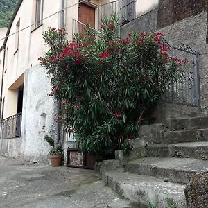 Apartamento L'Oleandro Maratea Exterior photo