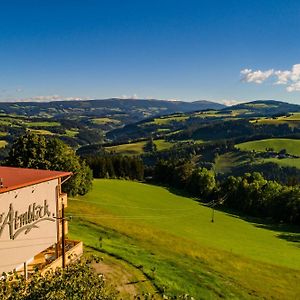 Hotel Der Almblick Strallegg Exterior photo