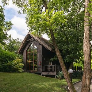 Hotel Tree House Relax Park Chisináu Exterior photo