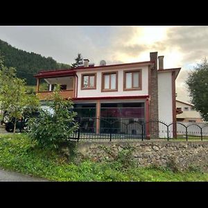 Muestakil Villa Hamsikoey Macka Trabzon Exterior photo