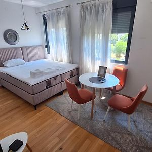 Apartamento Lijepo Pozicioniran Stan, Atrakcije Blizu Podgorica Exterior photo