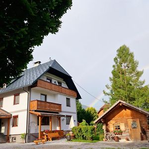 Ferienwohnung " Esserhof " Nationalpark Gesaeuse Ardning Exterior photo