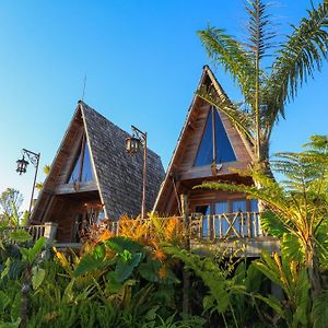 The A-Frame House Hostal Gitgit Exterior photo