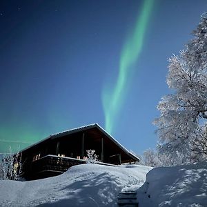 Trivelig Hytte I Senja. Villa Exterior photo