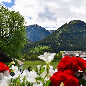 Apartamento Gaestehaus Eberhart Bad Hindelang Exterior photo