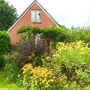 Forest Barn In The National Park & Near Beaches Villa New Milton Exterior photo