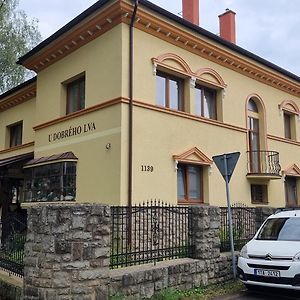 Hotel Penzion U Dobreho Lva Frenštát pod Radhoštěm Exterior photo