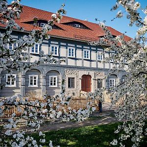 Zur Wilhelmine - Landgut 1779 Villa Cunewalde Exterior photo