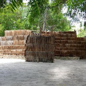 Room In Bb - Mida Creek Eco Camp - Lodge Exterior photo