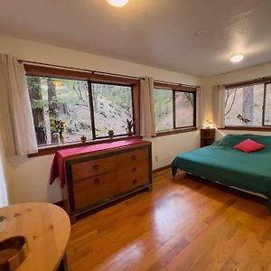 Apartamento Little House In The Redwoods Garberville Exterior photo