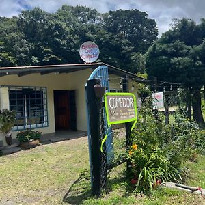 Bambito´s Café&Hostel Cerro Punta Exterior photo