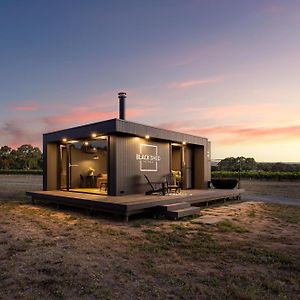 Apartamento Luxury Vineyard Cabin Escape McLaren Flat Exterior photo