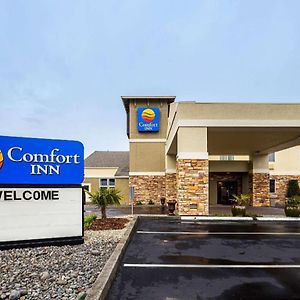 Comfort Inn Arcata-Humboldt Area Exterior photo