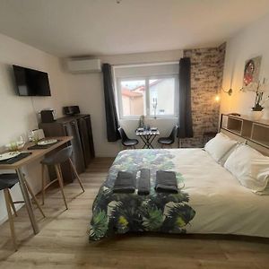 Apartamento Bach Studio Balneo Au Calme Parking Gratuit Chasse-sur-Rhône Exterior photo