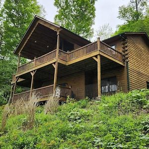 Get-Away Cabin Hot Tub Sunsetmtn Views,Asheville Swiss Exterior photo