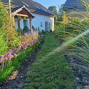 Agroturystyka Pod Debami Bed and Breakfast Boleslawiec  Exterior photo