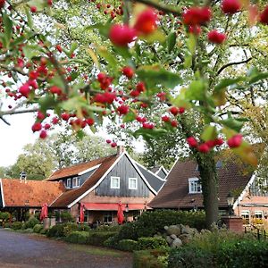 Hotel Het Ros Van Twente De Lutte Exterior photo