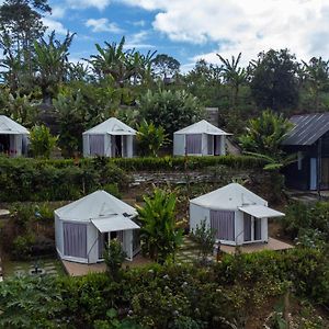 Hotel Alam Kita Glamping & Plantation Munduk Exterior photo