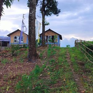 Himali Danda Homestay Darjeeling  Exterior photo