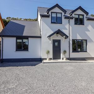 Hafan Y Gof Villa Newcastle Emlyn Exterior photo