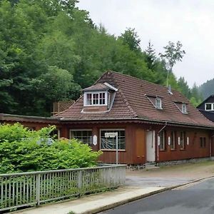 Apartment With Parking Space In Wildemann Exterior photo