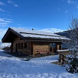 Beautiful, Contemporary Chalet In Haute Nendaz Villa Saclentse Exterior photo