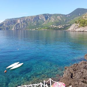 Bed And Breakfast Tenuta Palmieri Maratea Exterior photo